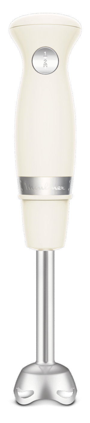 Bras Mixeur Moulinex Soleil 450W 2Vitesses